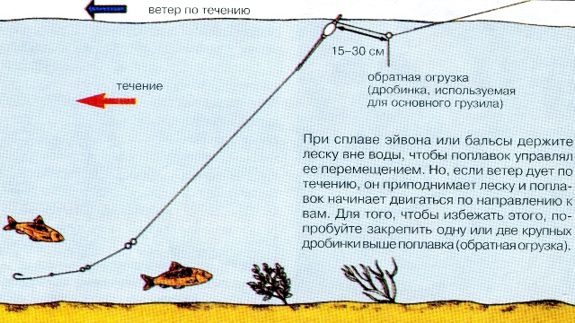 техника ловли на поплавок на течении техника ловли на поплавок на течении