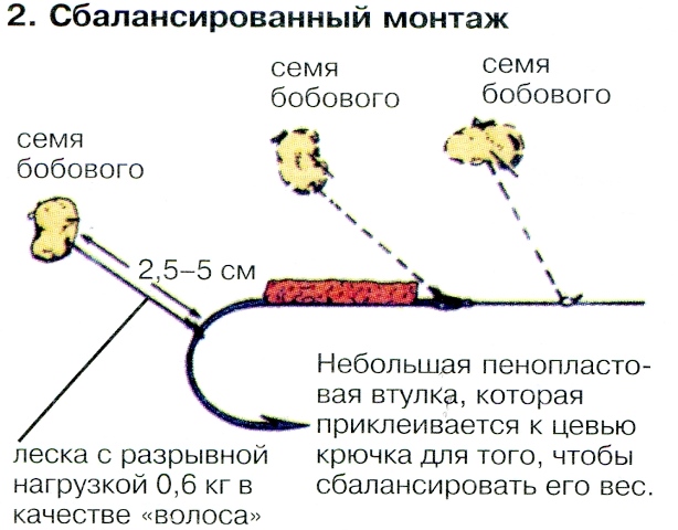 Снасть для ловли карпа на горох Снасть для ловли карпа на горох